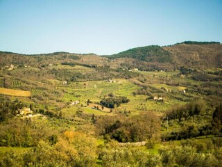 Apartment Pratolino Environment 35