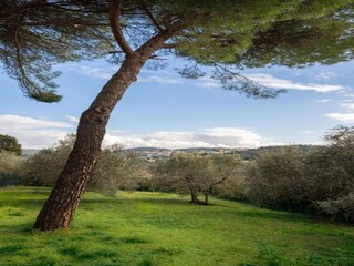 Appartamento Pratolino Ambiente 24