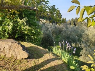 Apartamento Pratolino Entorno 36