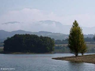 Apartment Pratolino Environment 35