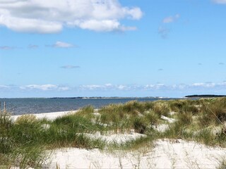 Blick auf den Nieblumer Strand