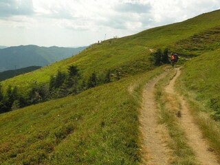 Chalet Cutigliano Entorno 25