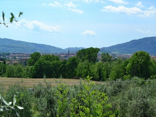 Villa Pistoia Buitenaudio-opname 15