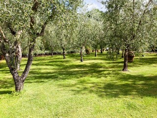 Apartamento Vecchietto Entorno 33