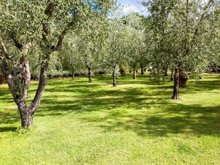 Appartement Vecchietto Omgeving 28
