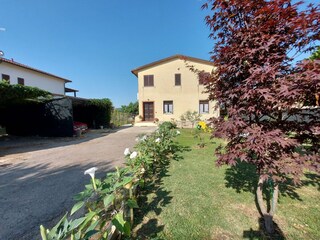 Ferienhaus Lucignano Außenaufnahme 2