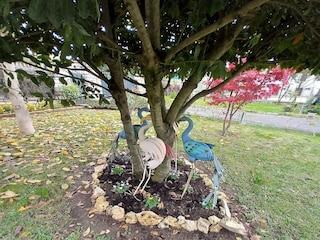 Ferienhaus Lucignano Außenaufnahme 10