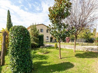 Ferienhaus Lucignano Außenaufnahme 7