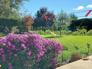 Ferienhaus Lucignano Außenaufnahme 4