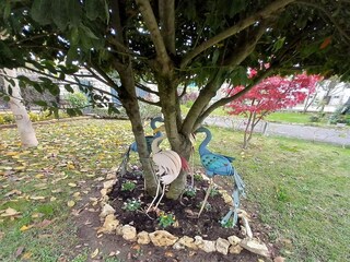 Casa de vacaciones Lucignano Grabación al aire libre 12