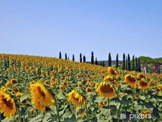 Casa per le vacanze Lucignano Ambiente 35