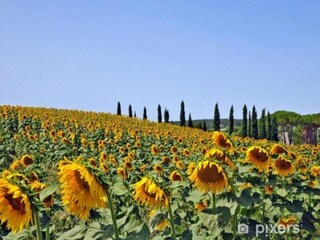 Ferienhaus Lucignano Umgebung 35