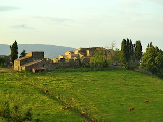 Holiday house Radicondoli Outdoor Recording 10