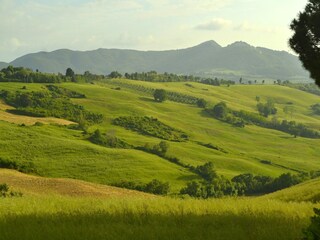 Casa de vacaciones Radicondoli Entorno 27