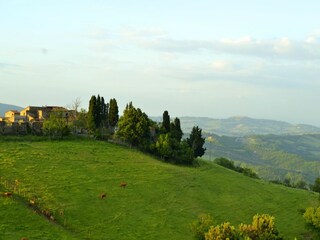 Holiday house Radicondoli Environment 30