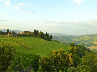 Holiday house Radicondoli Environment 29