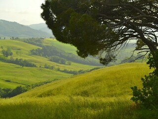 Holiday house Radicondoli Environment 32