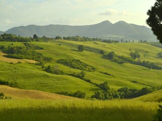 Vakantiehuis Radicondoli Omgeving 32