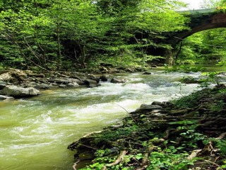 Casa de vacaciones Radicondoli Entorno 33