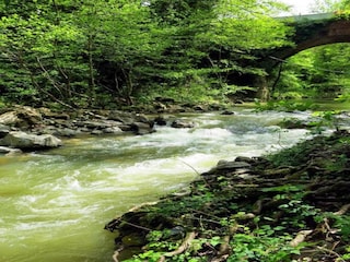 Ferienhaus Radicondoli Umgebung 28