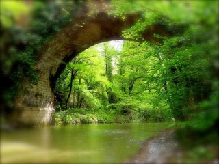 Casa per le vacanze Radicondoli Ambiente 35