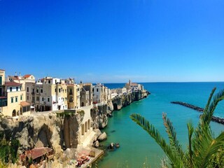 Apartment Vieste Environment 32