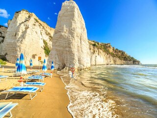 Appartamento Vieste Ambiente 31