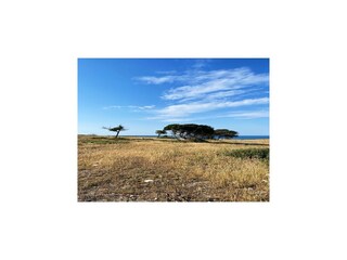 Apartamento Vieste Entorno 36