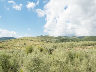 Apartamento Vieste Entorno 24