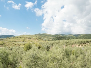 Apartment Vieste Umgebung 27