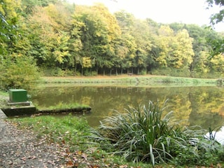 Appartement Vieste Environnement 34