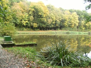 Appartement Vieste Omgeving 28