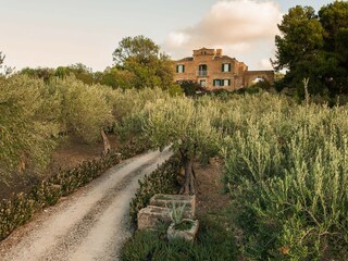 Villa Paceco Omgeving 24