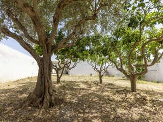 Holiday house Rilievo Outdoor Recording 12