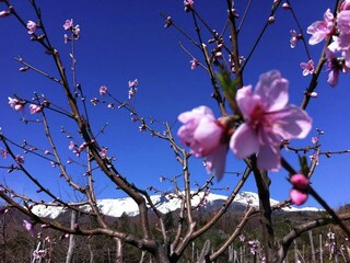 Villa Trecastagni Ambiente 24