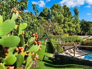 Villa Ragalna Buitenaudio-opname 7