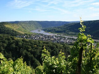 Enkirch/Mosel