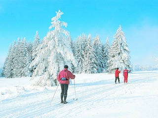 Langlauf durch märchenhafte Landschaft