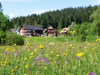 Landhaus Anja in Freudenstadt-Lauterbad