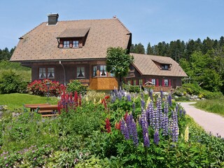 Ferienhäuser Kienberg und Hohenried