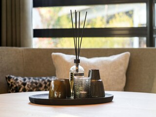 Villa De Cocksdorp  29