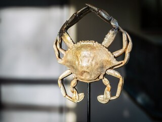 Villa De Cocksdorp Ausstattung 5