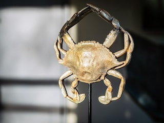 Villa De Cocksdorp Características 5