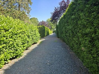 Vakantiehuis Uddel Omgeving 35