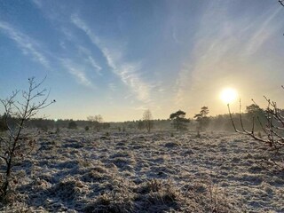 Casa per le vacanze Uddel Ambiente 19