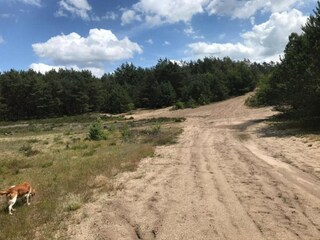 Vakantiehuis Uddel Omgeving 25