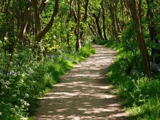 Casa de vacaciones Westkapelle Entorno 21