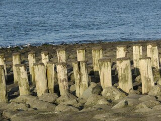 Casa per le vacanze Westkapelle Ambiente 37