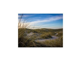 Vakantiehuis Julianadorp Omgeving 31