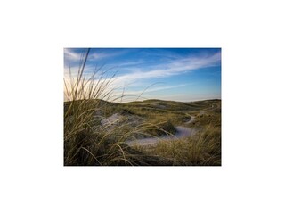 Vakantiehuis Julianadorp Omgeving 35